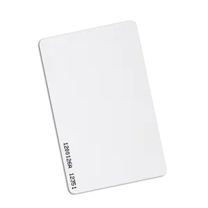 Keri MT-10X Proximity Card - 100 Pack